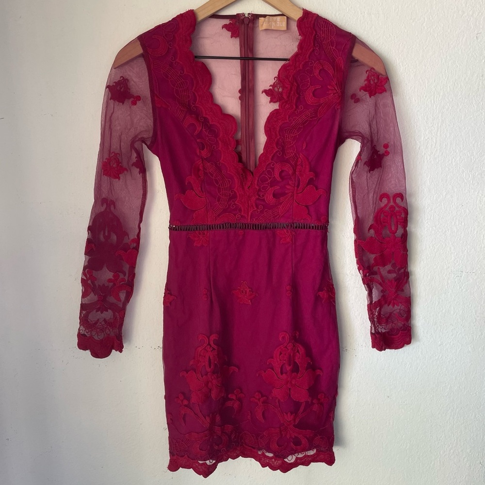 Love Triangle Long Sleeve Embroidered Mesh Mini Dress With Plunging Neckline
